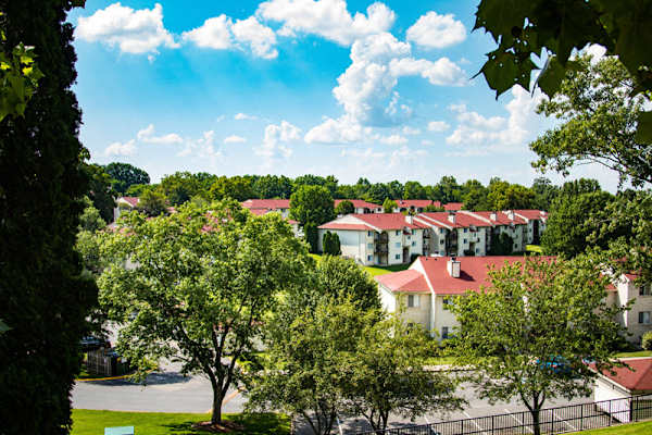 Chimney Top property